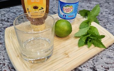 Mint Mojito Mocktail