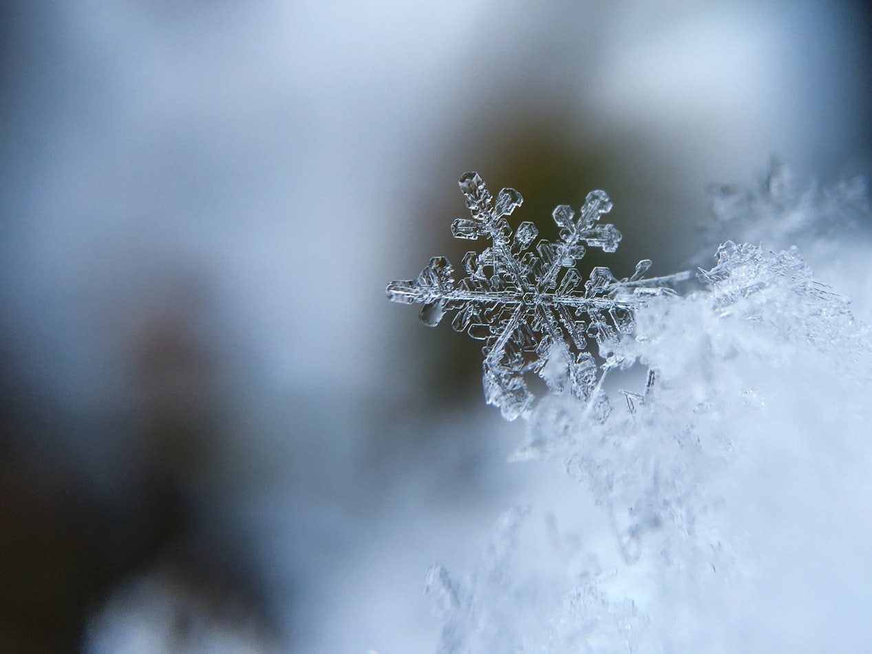 Winter Beauty Wisdom