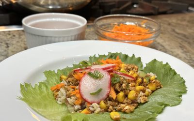 Spicy Vegan Tofu Wraps