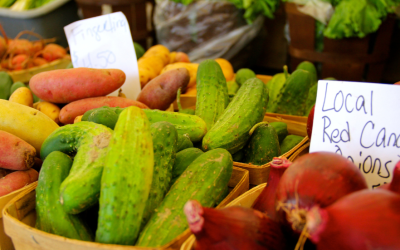 Practicing Kitchen Sustainability